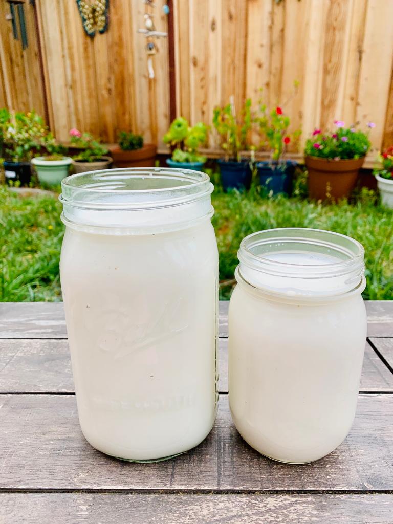 Plant Based Milk - Your Dairy Alternative