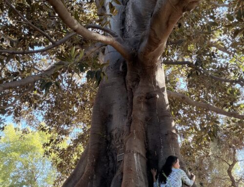 Coming Back to Yourself: Grounding and Finding Balance in a Busy World